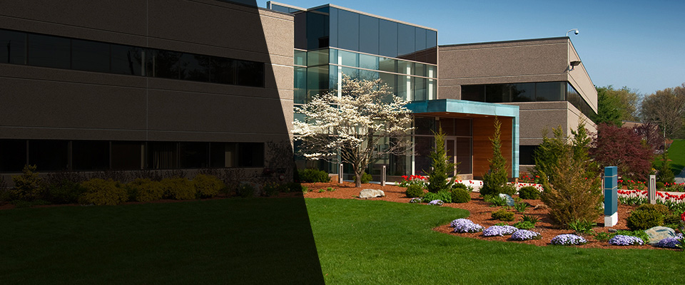 Port Washington Landscapers