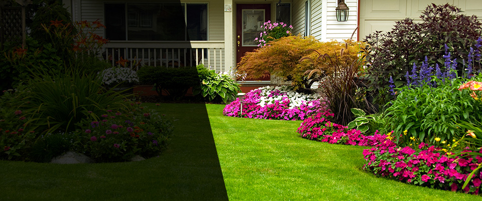 Port Washington Landscapers
